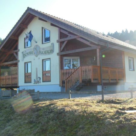 Chalet Du Bucheron Gérardmer Exterior foto